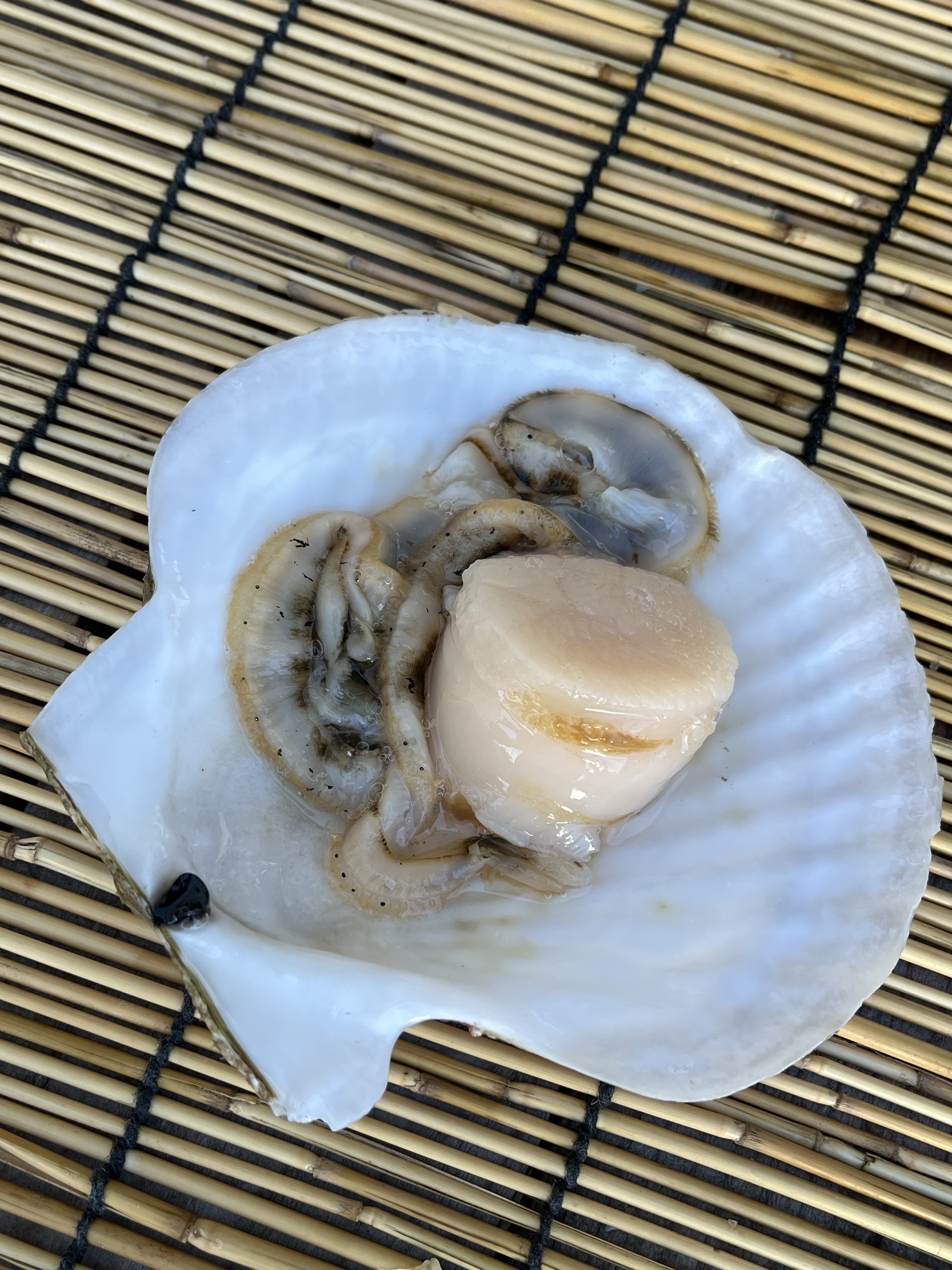 増毛のホタテ